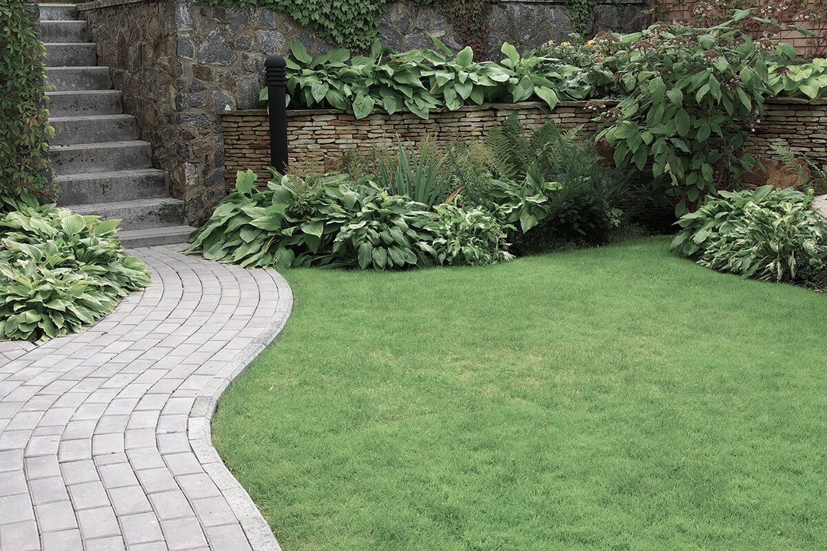 Welcome to Traditional Landscaping